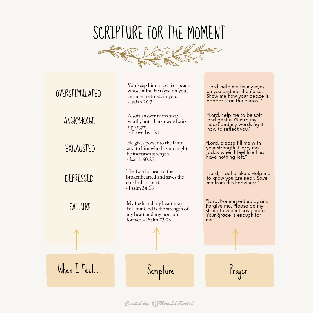 Scripture for the Moment